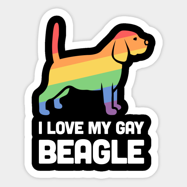 Thailand boy gay bars gay Transvestite pics porn